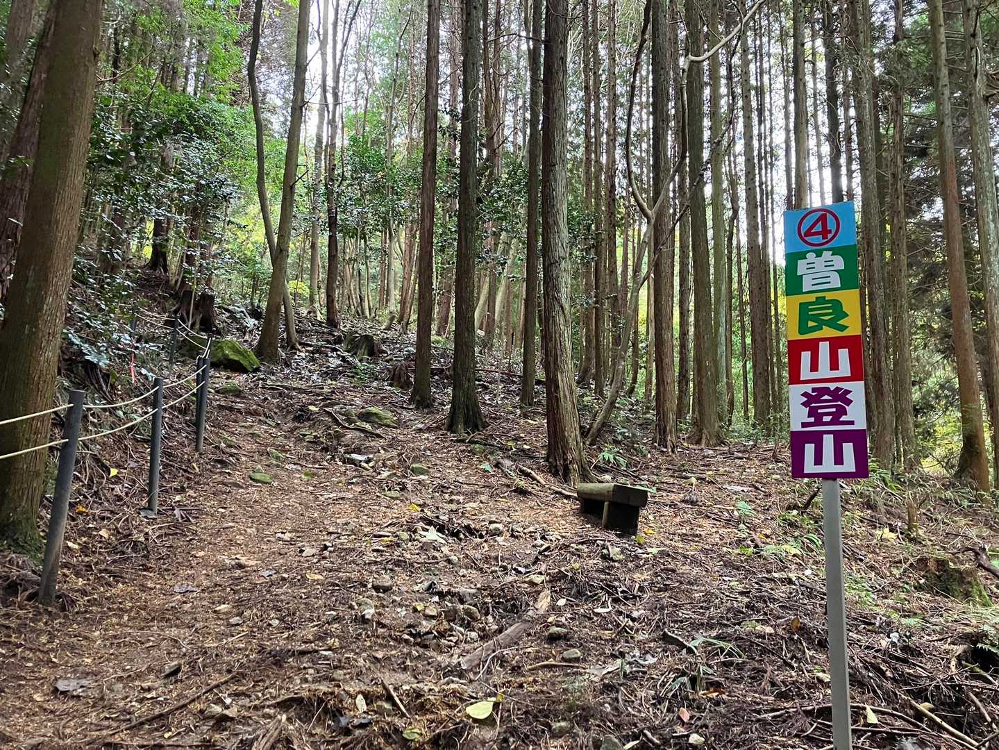 ここから登山道っぽくなってきたよ〜😃
小雨、ポツポツ😅