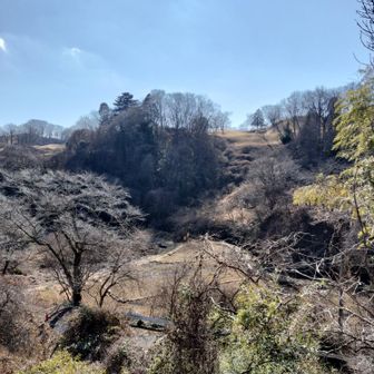 キャンプ場もあり、テラスからはゴルフ場が見える