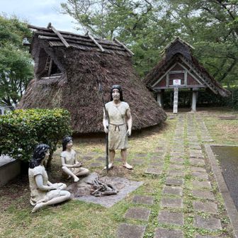 弥生人とご対面