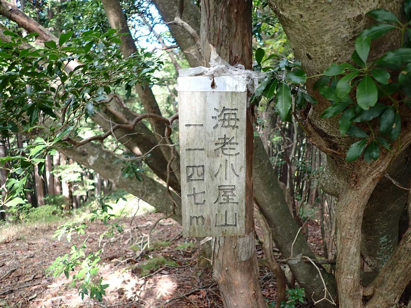 海老小屋山⛰
海老‥？小屋‥？？？