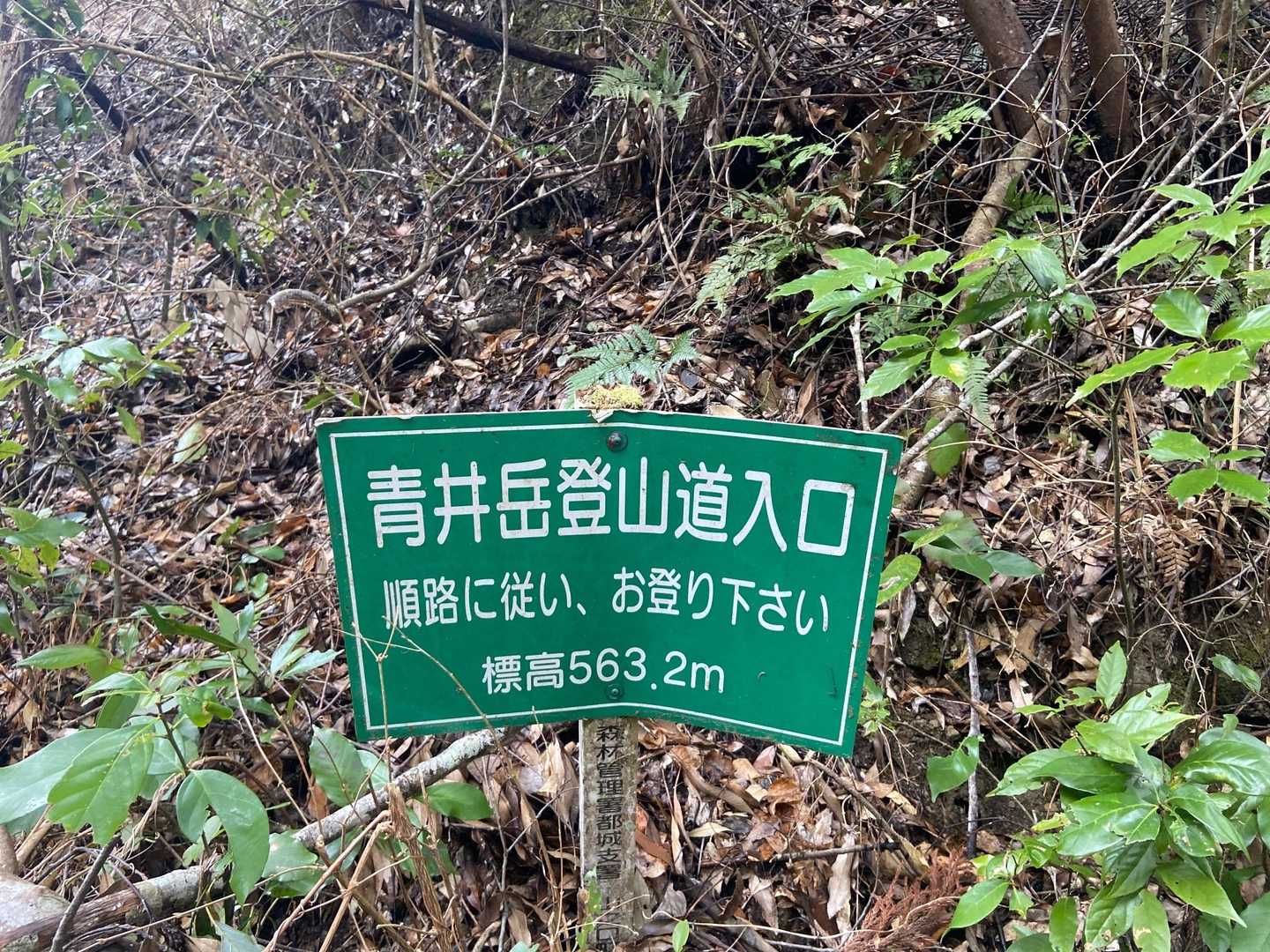 563.２mさあ頑張ろ👍