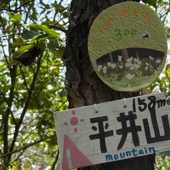 到着⛰️  展望はありません
ヤマップ初めてから300座（本人気付かず）
山友がおめでとう団扇を用意してくれてました！
ありがとう〜🥰🎊