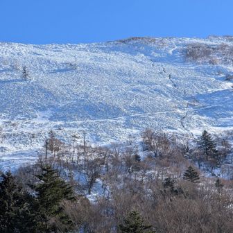 今回は1週間前の記憶を頼りに最短コースで下山。
また右の方に踏み跡ルートが見えています。