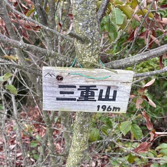 最後のお山
ここで昼ごはん🍜