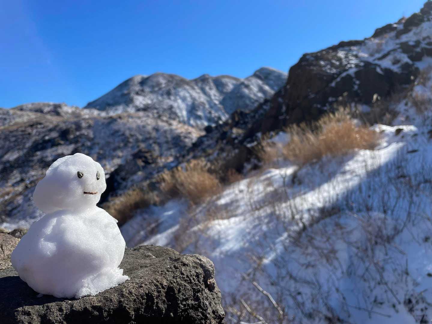 アンニュイ⛄