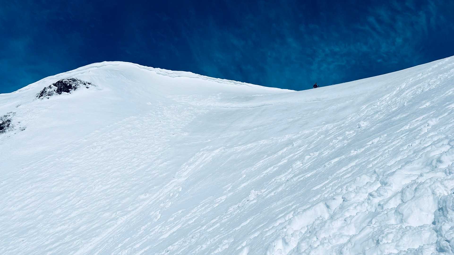 伊吹山 正面登山道（上野口コース）の写真