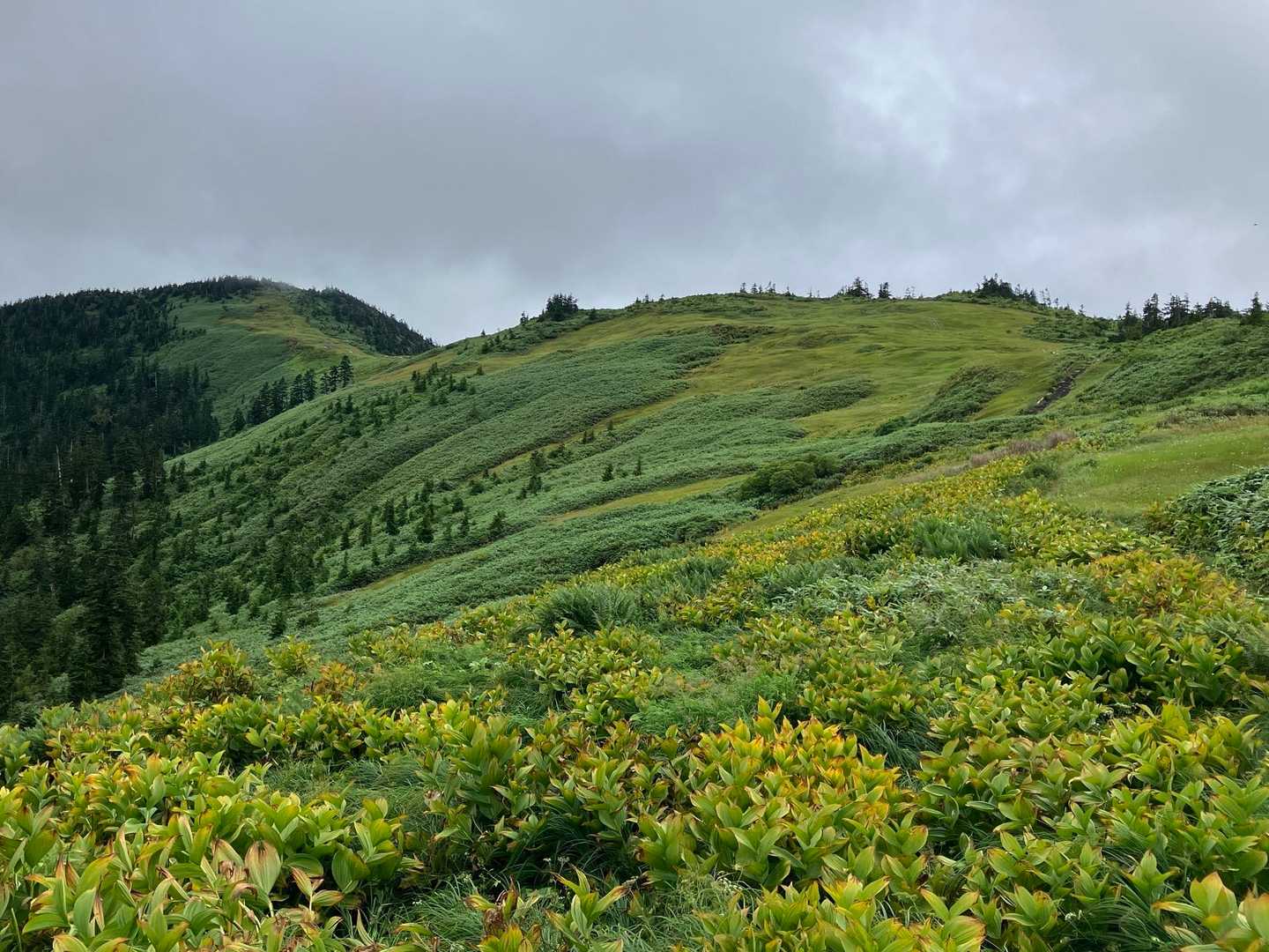 駒ヶ岳登山口バス停-滝沢登山口-会津駒ヶ岳-中門岳-大津岐 縦走コースの写真