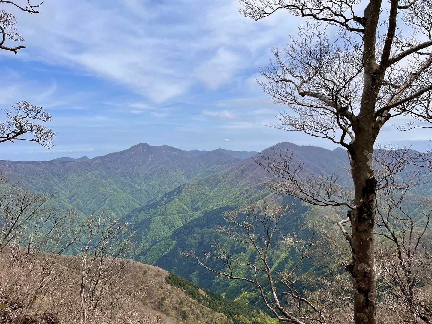 大室山 往復コースの写真