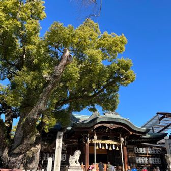 今日の目的地😁