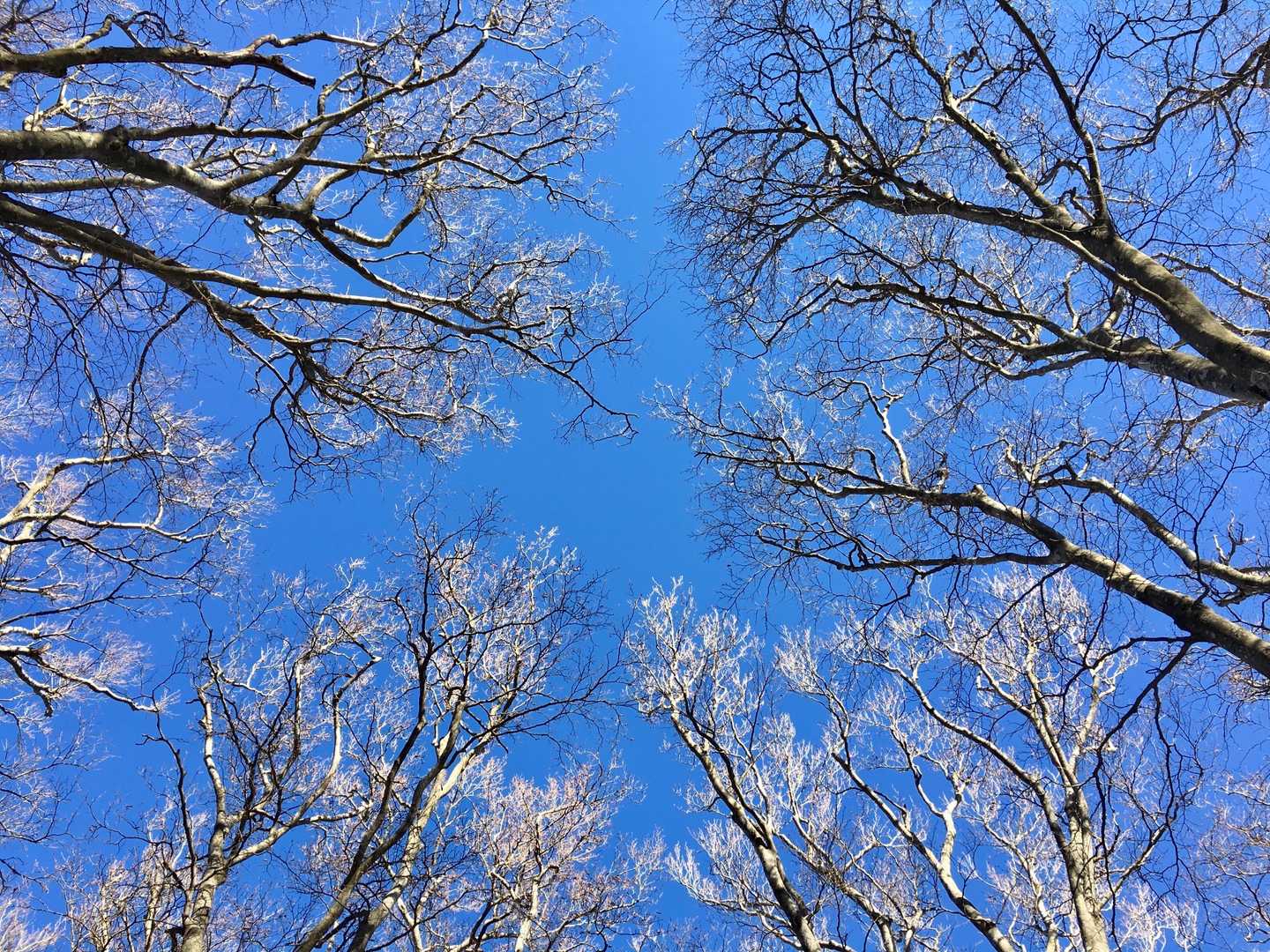「冬の青」
冬の空の青も海の青も大好きです❄️