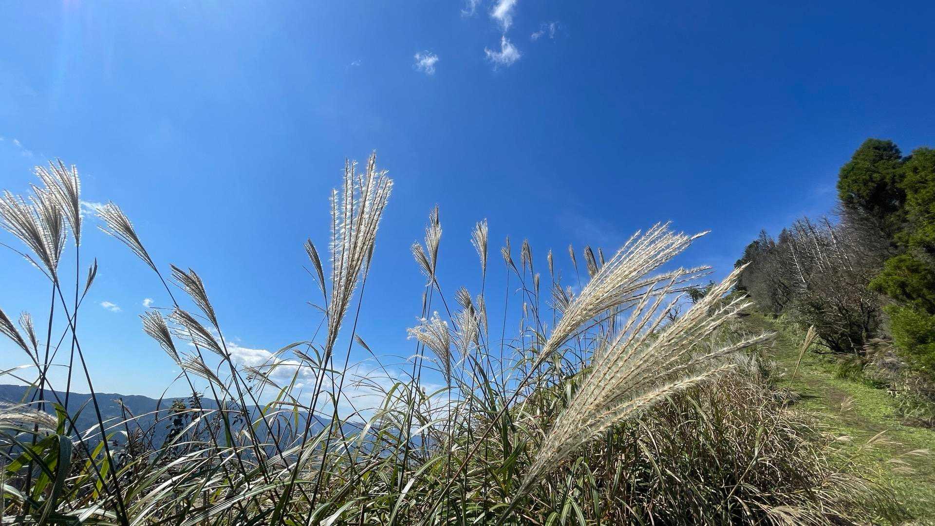 かなりの藪漕ぎで 疲れたけど 次の目的地へ😃