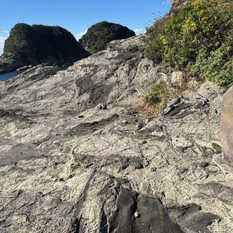 環境省が定めた一都六県1800km、160コースからなる関東ふれあいの道。
その一つです。