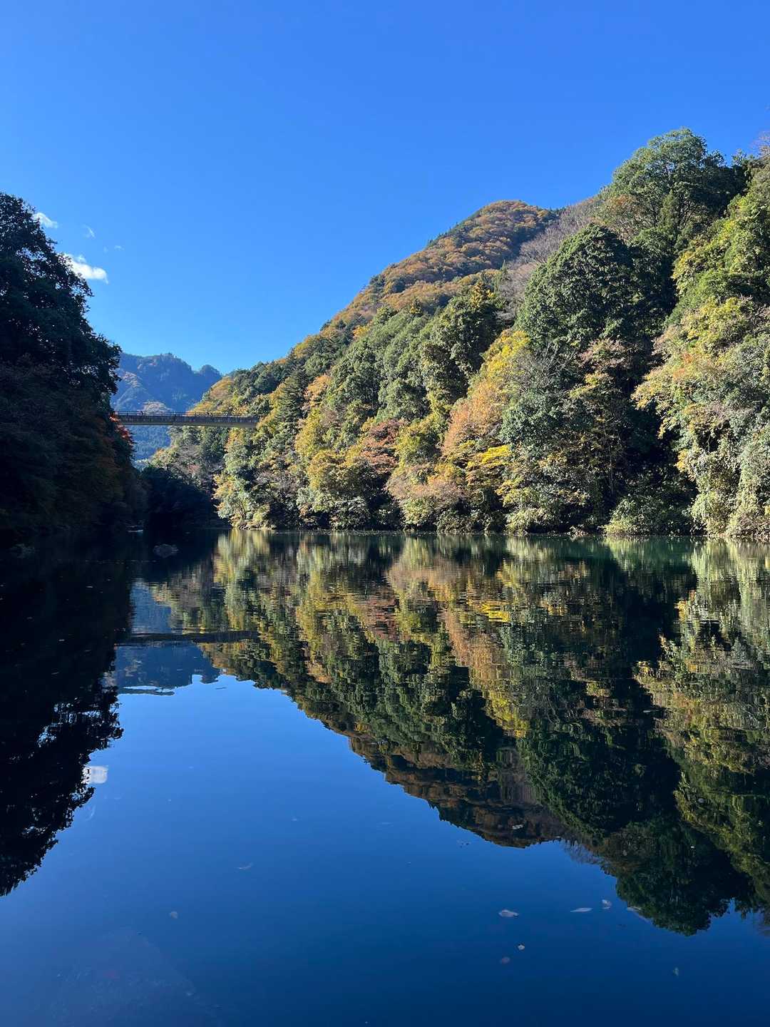 と思いながら歩いていたら
　　　　ありましたー╰(*´︶`*)╯♡

休憩スポット　絶景ですね〜💕
　　　　ここでコーヒー☕️タイム
　　　　Ｅllyさんの干柿　デリシャス😋
