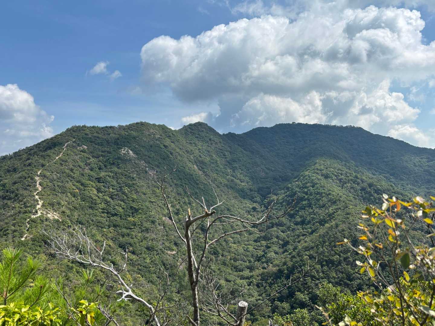山口登山口-三草山 往復コースの写真