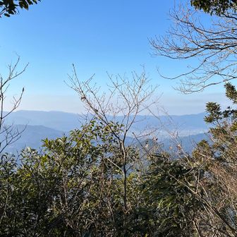 景色が見えないだろうと、期待していなかったので嬉しい ✨