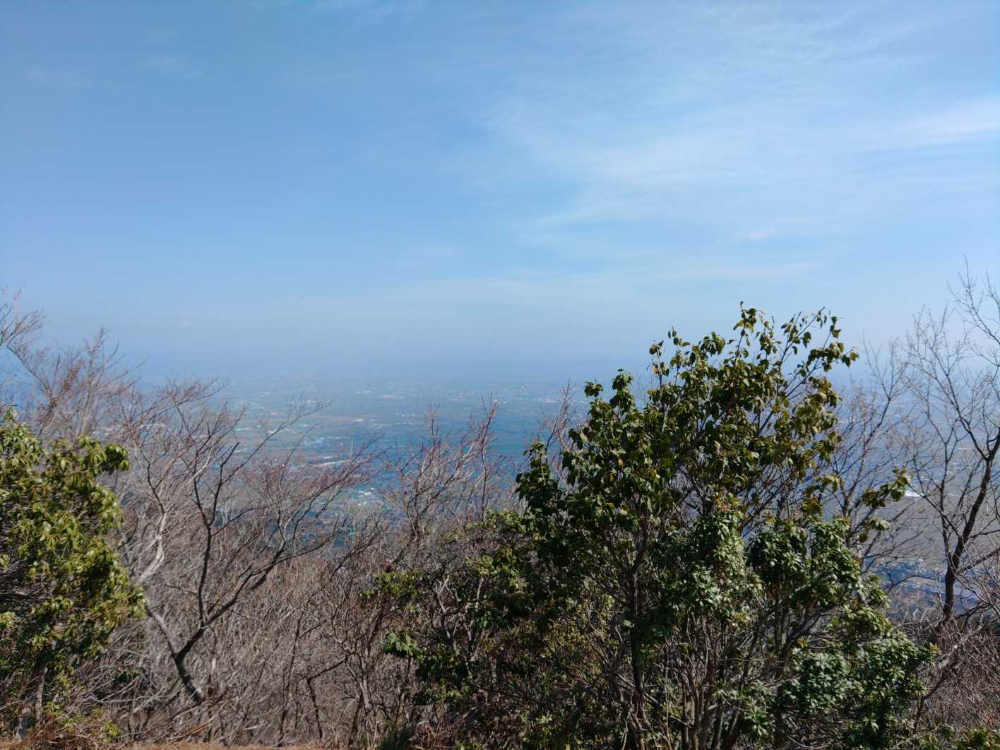 写真で見るとガスガスですね