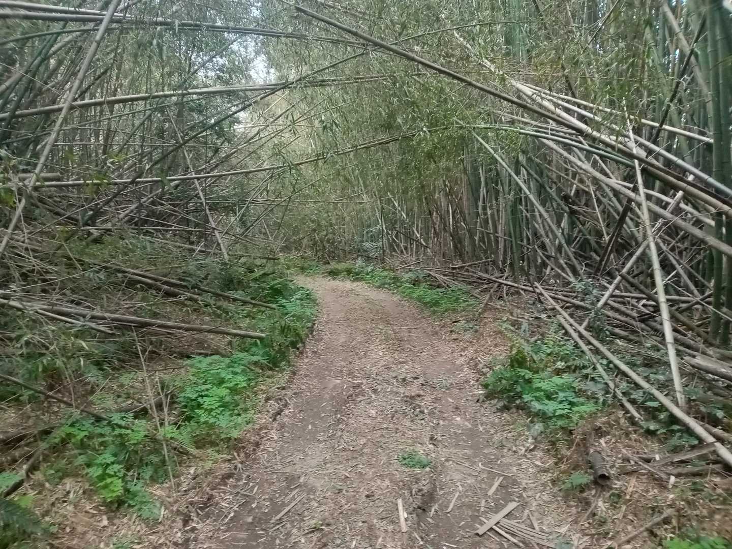 琵琶湖側へ下ります