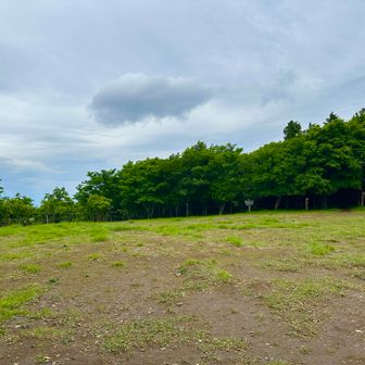 そそくさ下山