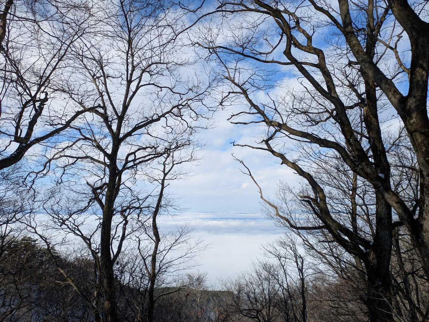 雲海の下には会津若松市