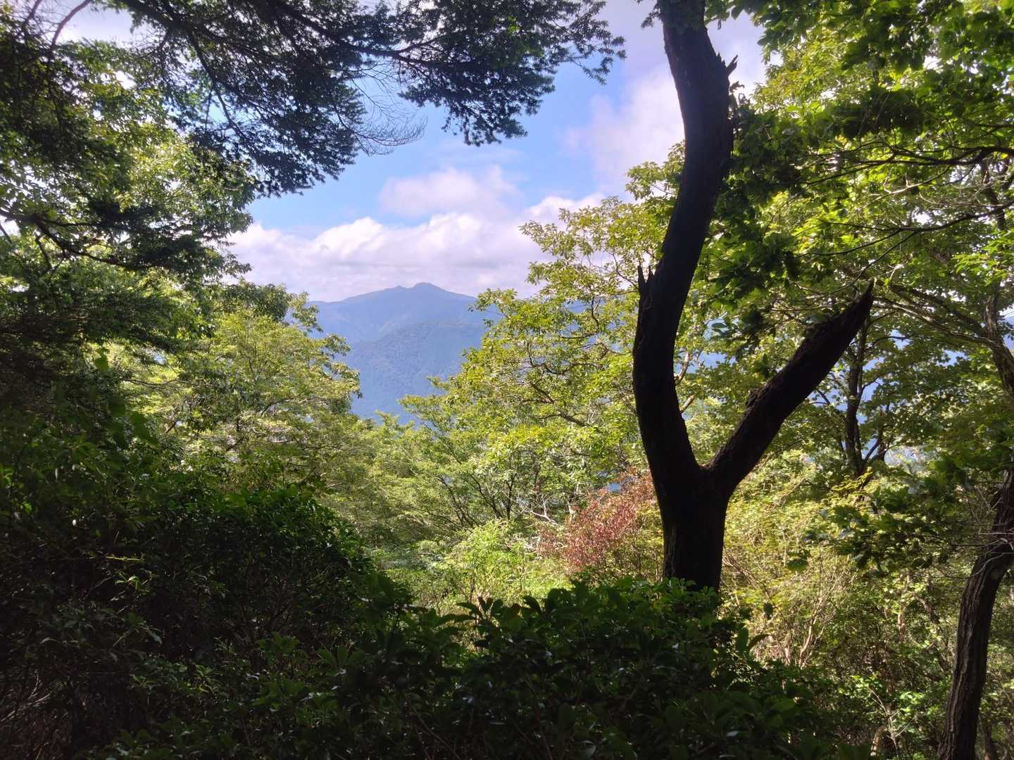 千ヶ峰顔出す