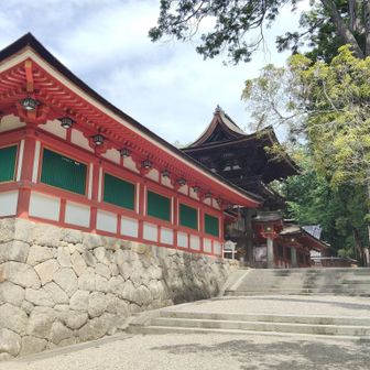 残り半分、旅の無事を祈念します。
