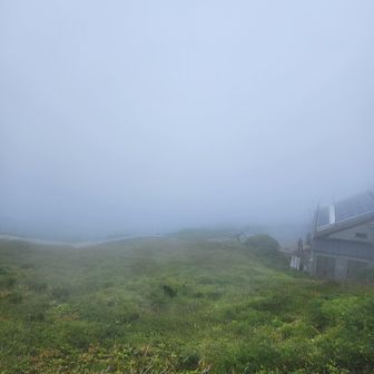 下山開始のタイミングですごい霧