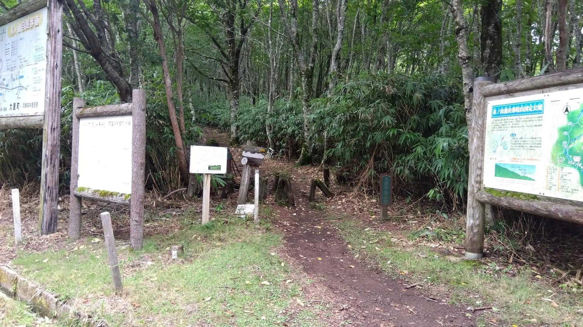 帰りました〜（実はこの後が大変でした💦）