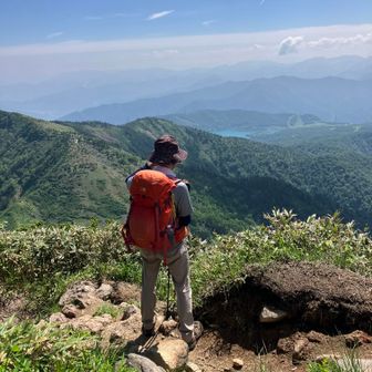 たまのよっさん