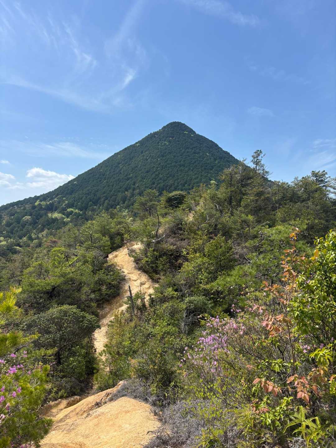 ここからも近江富士⛰️