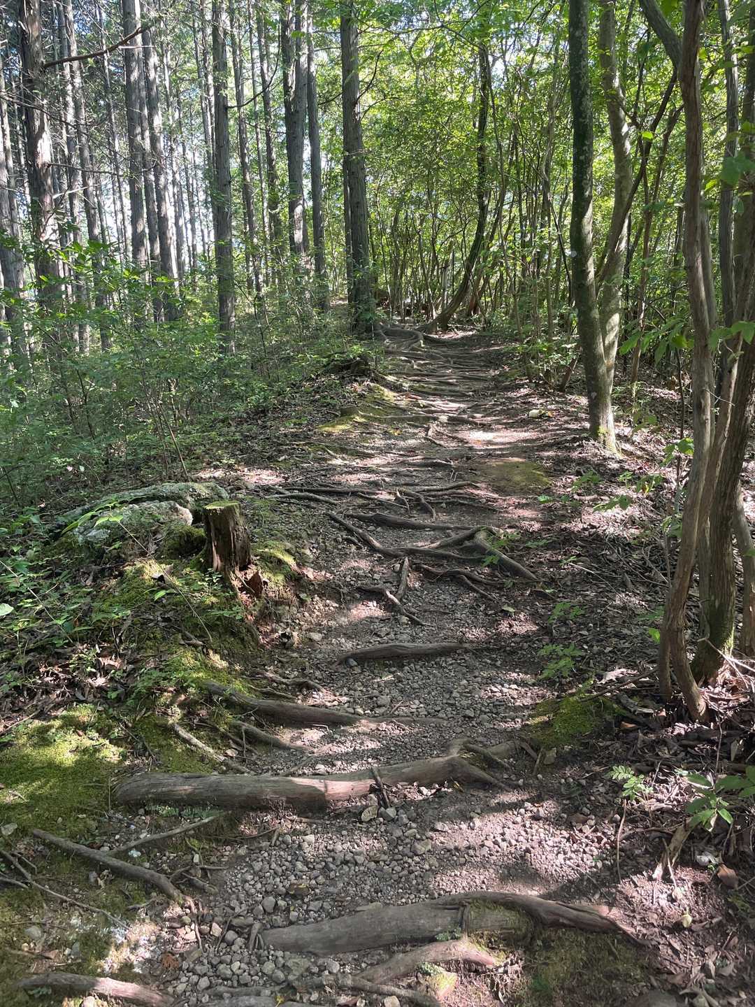 三釈迦山登山道入口-三釈迦山-三釈迦山登山道入口 往復コースの写真