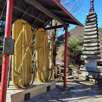 今年一年、元気に歩けますように！