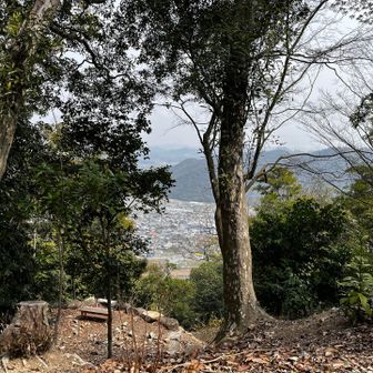 本丸の向こうにも段々　物見櫓跡