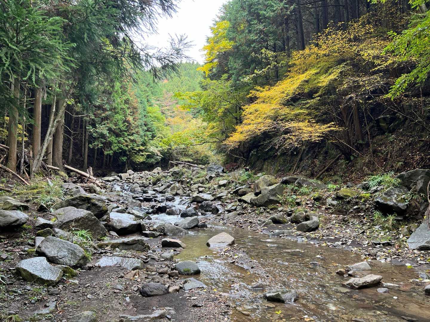 矢倉沢バス停-矢倉沢登山口-矢倉岳-清水越-地蔵堂バス停 縦走コースの写真