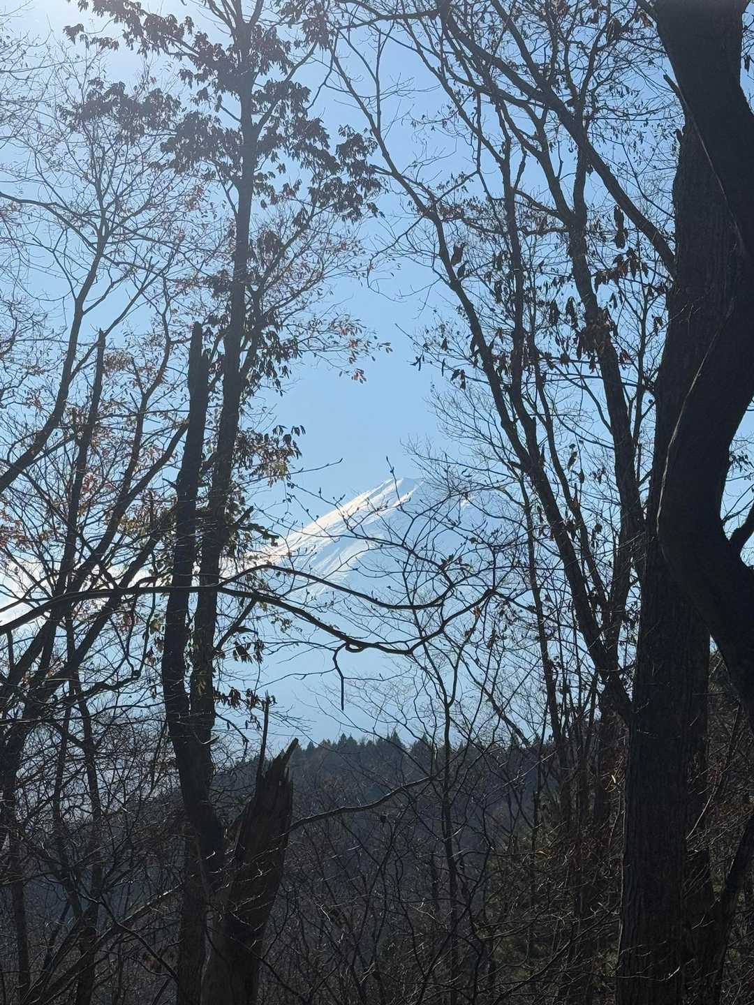 見えるポイントを探しながら下山。