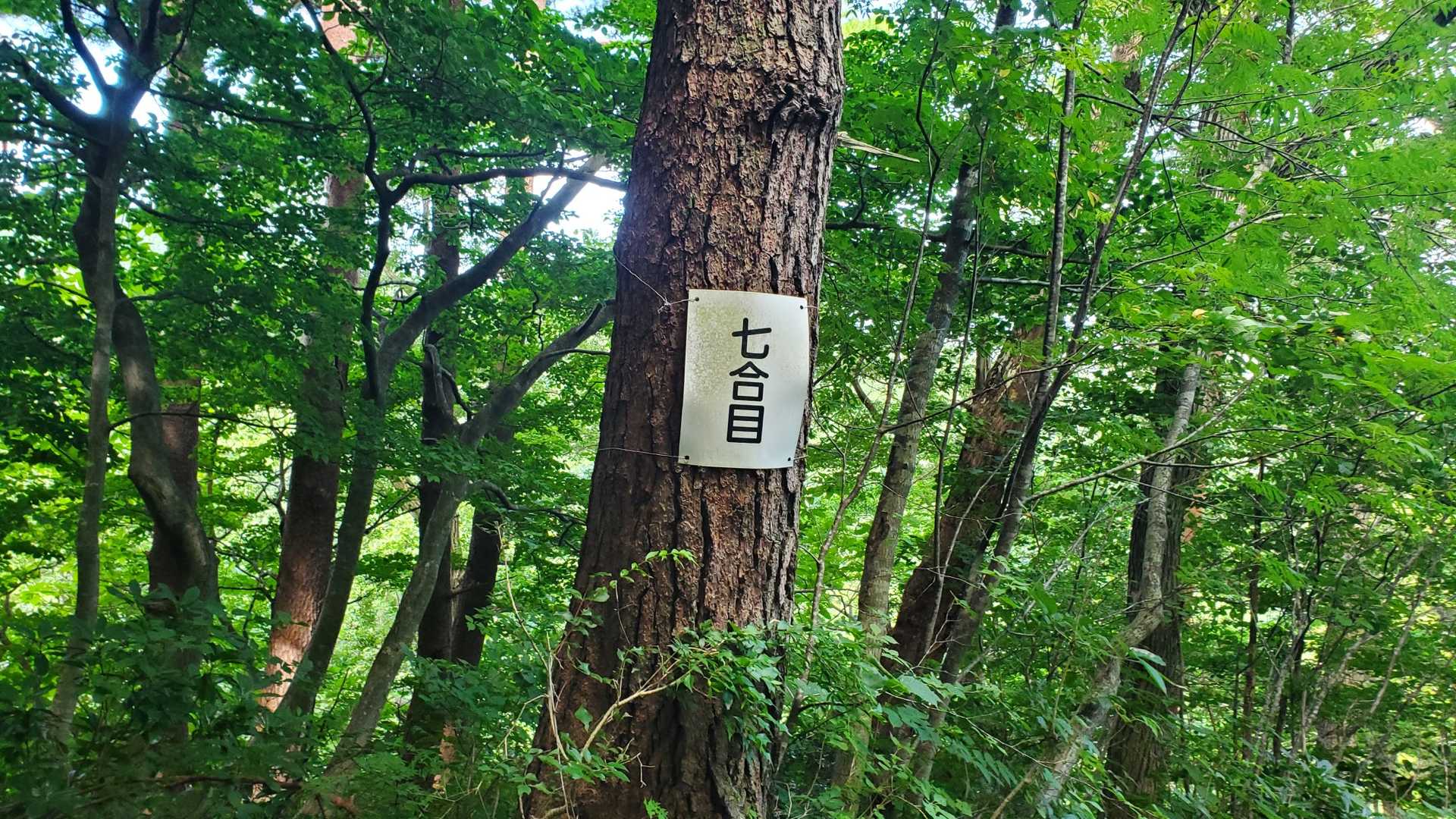 八乙女山五合目登山口 往復コースの写真
