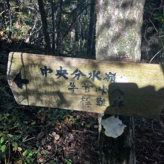 道なき道行くと峠までいけるらしい
