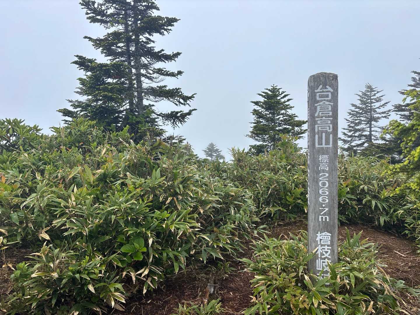 猿倉登山口-田代山-帝釈山-馬坂峠登山口-台倉高山 周回コースの写真