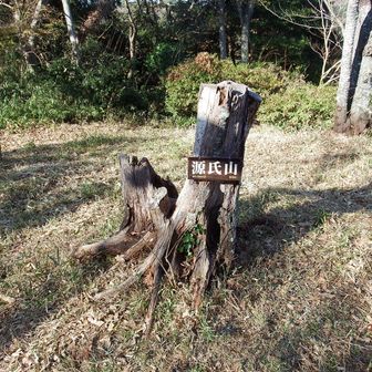 山頂広いです。