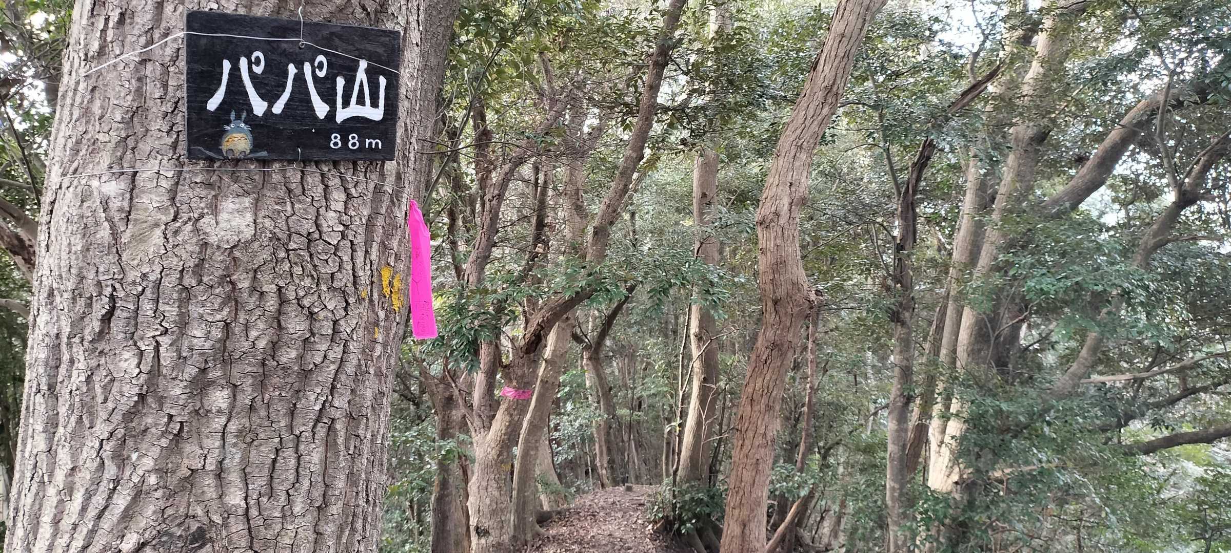 パパ山