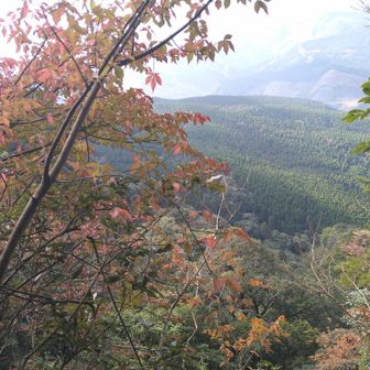 九平登山口に向かって下山します☺️