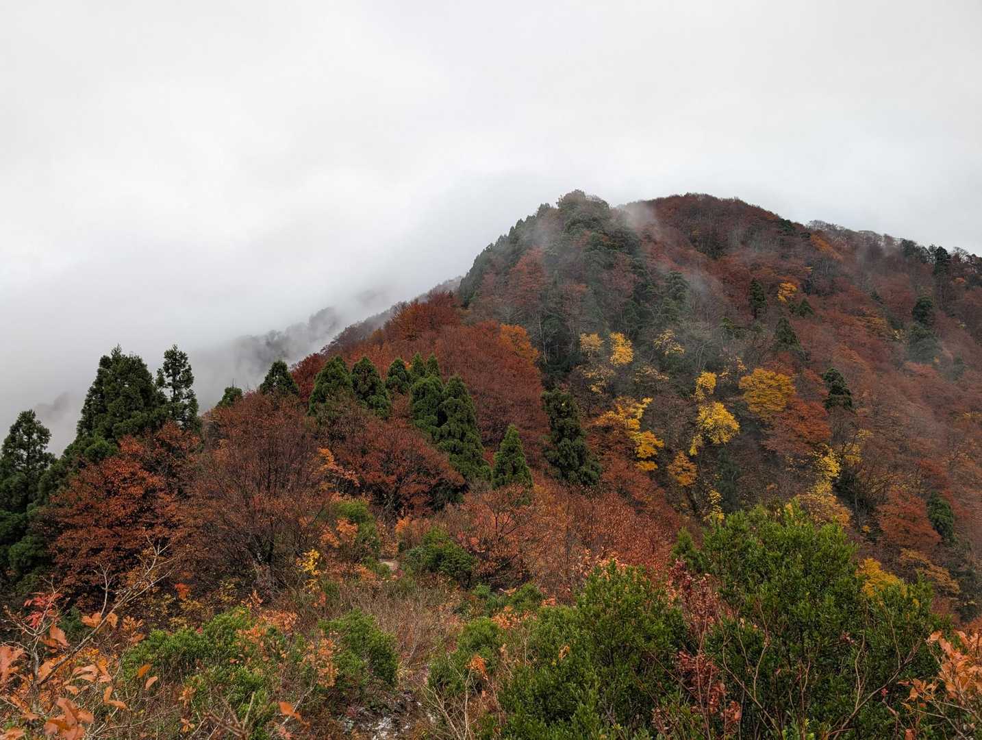菱ヶ岳（奥村杉菱ヶ岳登山口）＜菱ヶ岳コース＞の写真
