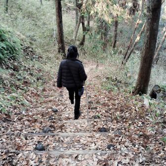 この後に菩提寺山に登るぞと言うも完全拒否！帰って勉強するねん！😾と言われたら成す術無しです罠…🤤