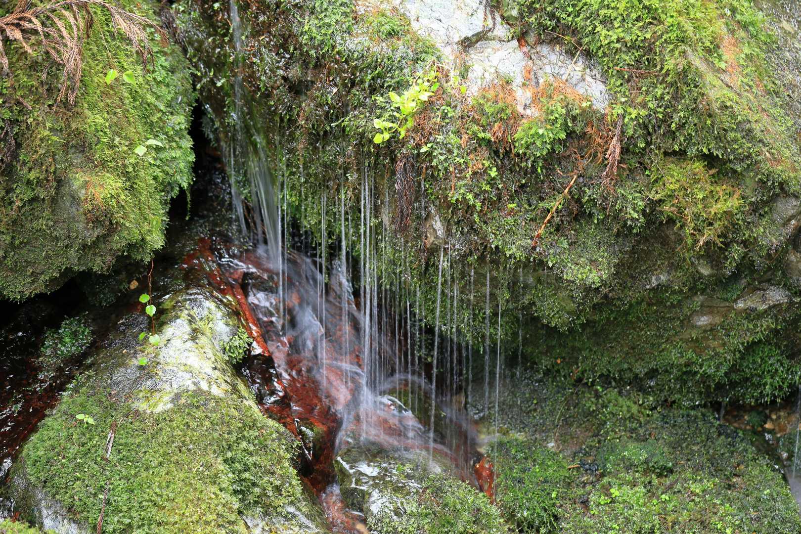 観音峰登山口-観音平-観音峯山-三ツ塚-法力峠 周回コースの写真