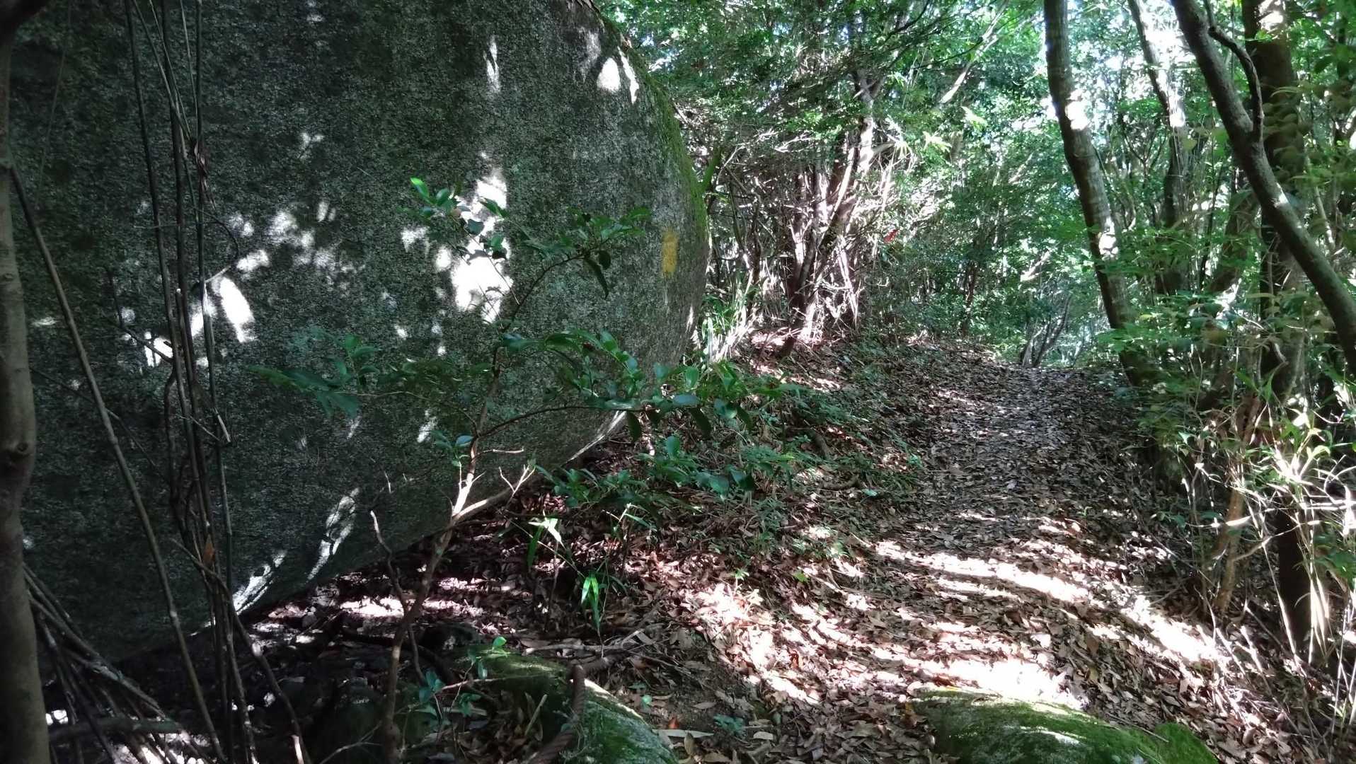 坂本峠-蛤岳 往復コースの写真
