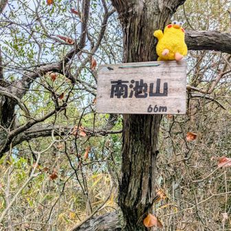 ⑥南池山に登頂です🙌