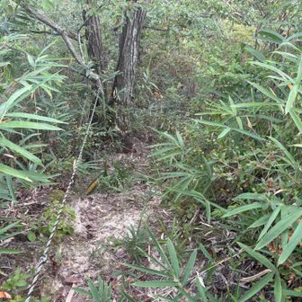 長い休憩後、次の山に向かってロープ道下る