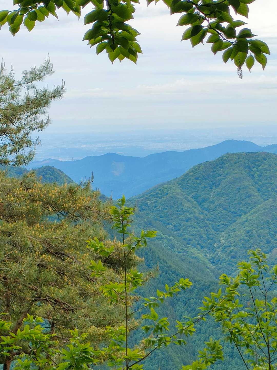 川乗橋バス停-笙ノ岩山-鳥屋戸八丁山-長尾山-蕎麦粒山-横 縦走コースの写真