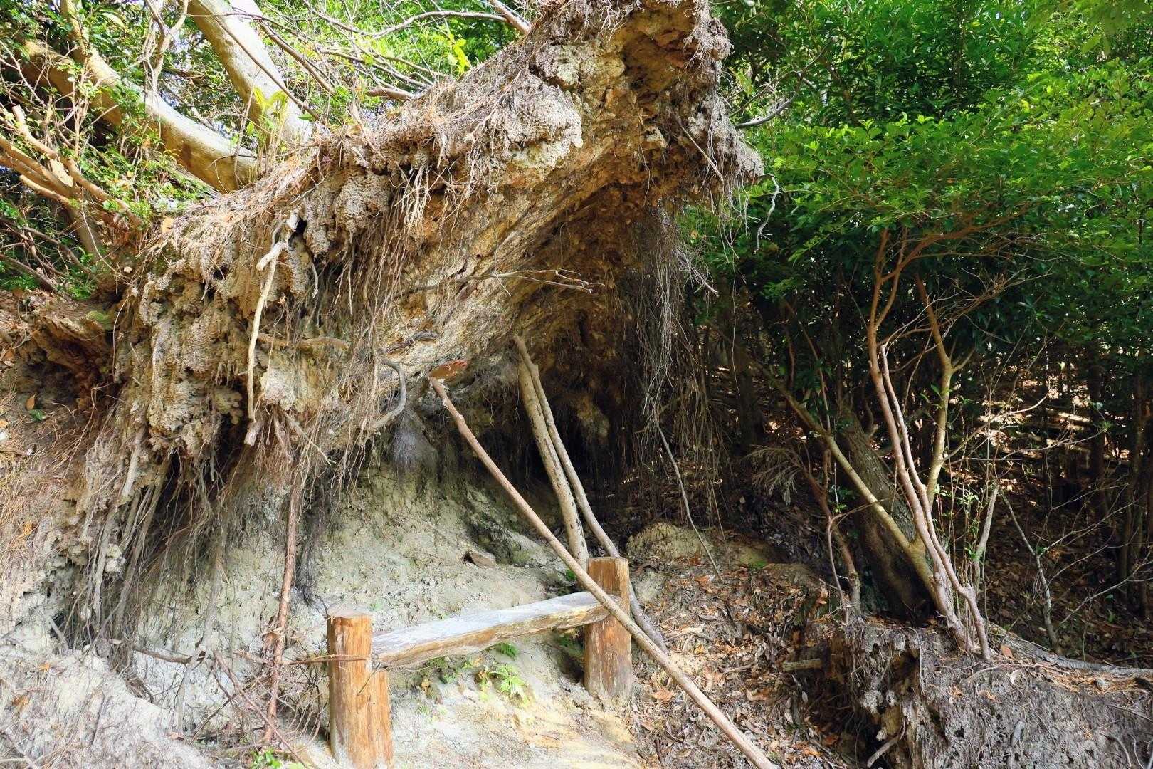おー凄いところにベンチが😯