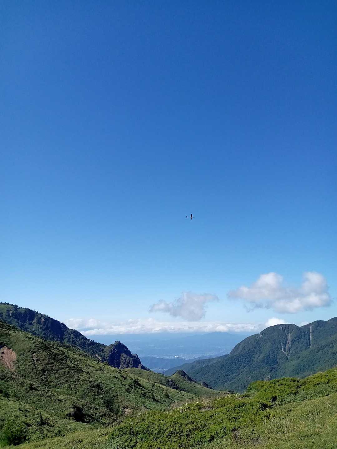 ラジコングライダー✈️