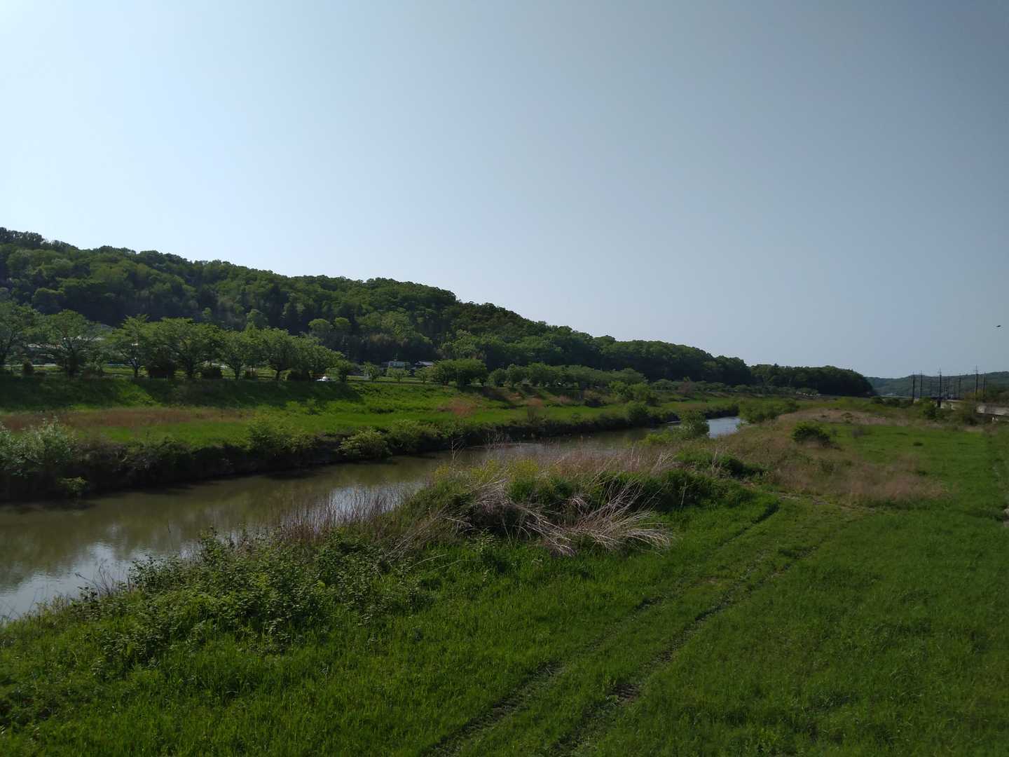 のどかな風景